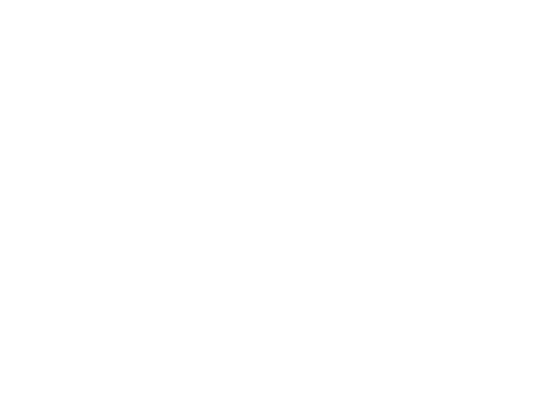 stihl.png